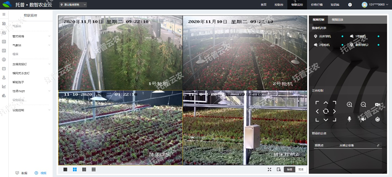 苗情監(jiān)測 苗情監(jiān)測